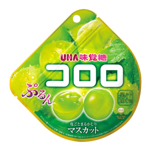 味覚糖 コロロ マスカット 48g×6入